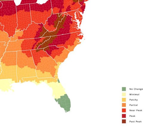 Map showing fall foliage color change across the southeastern U.S., with regions categorized from no change to peak color.