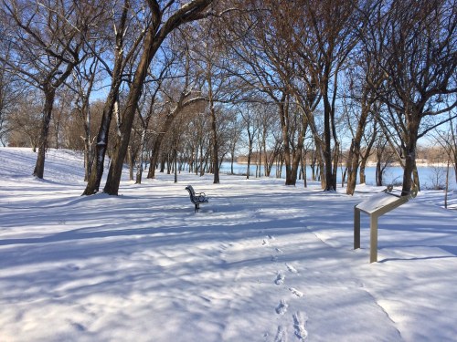 A snowy park scene with bare trees, a bench, and a sign near a lake under a clear blue sky.