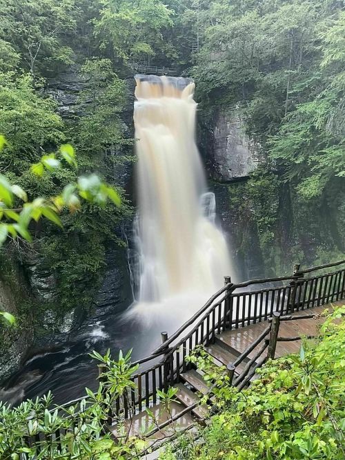 A cascading waterfall surrounded by lush greenery, with a wooden staircase leading down to the water's edge.
