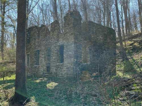 A weathered stone ruin surrounded by trees and greenery, set on a hillside in a sunlit forest.