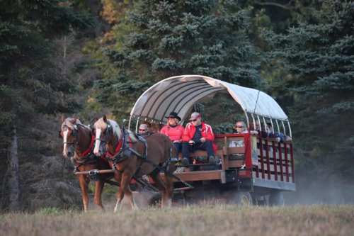A horse-drawn wagon carries passengers through a wooded area, with trees in the background and dust rising from the ground.