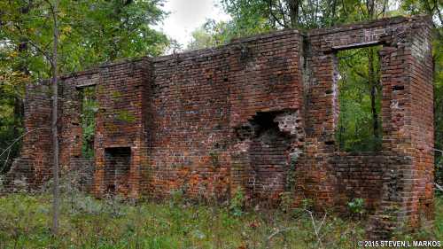 Ruins of a brick structure surrounded by overgrown vegetation in a forested area.