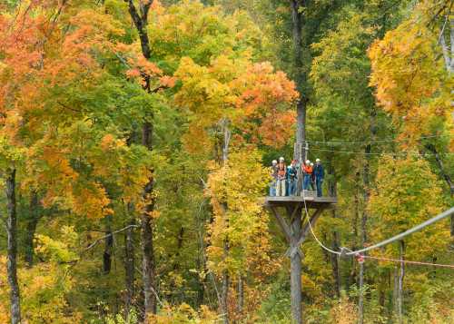 A group of people stands on a platform among vibrant autumn trees, preparing for a zipline adventure.