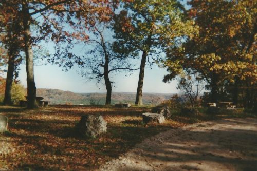 A scenic view of a park with trees and rocks, showcasing autumn foliage and a distant landscape.