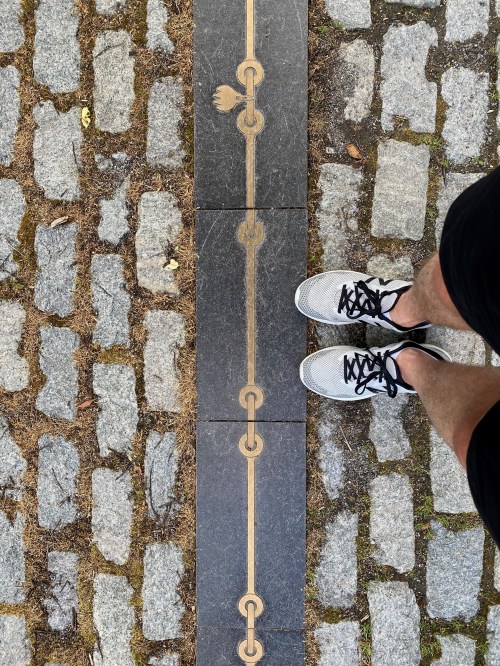 A person's feet in sneakers standing on a cobblestone path with a decorative line running through the center.