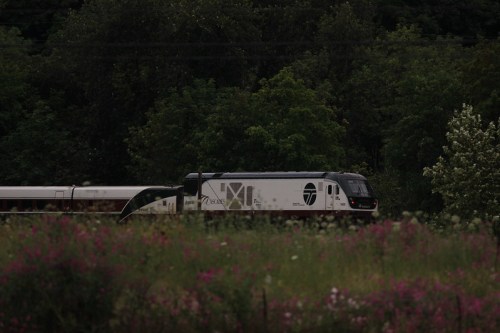 A train passes through a lush green landscape with wildflowers in the foreground.