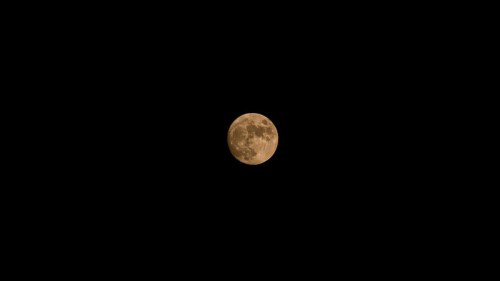A large, glowing orange moon against a dark night sky.