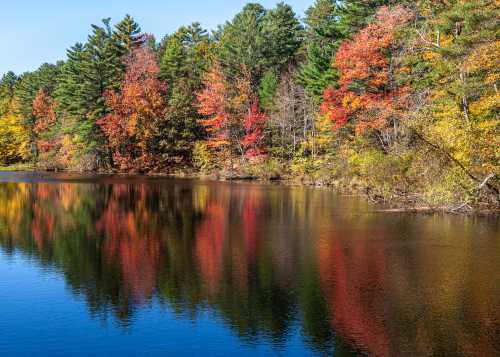 A serene lake reflecting vibrant autumn trees in shades of red, orange, and yellow under a clear blue sky.