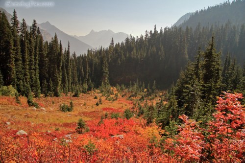 A vibrant autumn landscape with red and orange foliage, surrounded by evergreen trees and distant mountains.