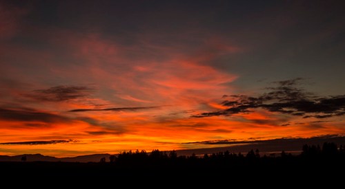 A vibrant sunset with orange and pink hues against a darkening sky, silhouetting distant trees and mountains.