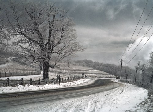 A winding road through a snowy landscape, with a large tree and overcast skies in the background.