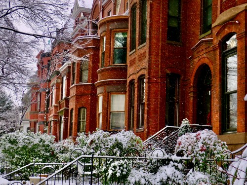 Snow-covered brick townhouses line a street, with lush greenery peeking through the fresh snowfall.