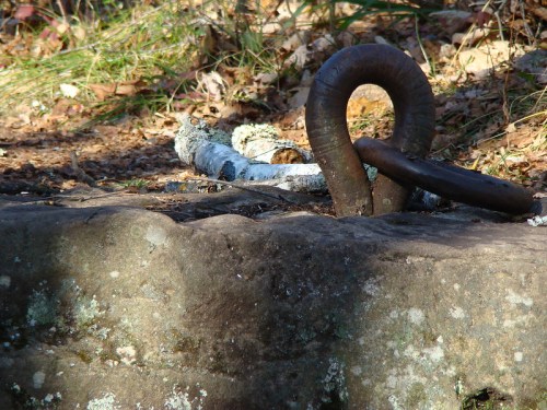 A rusty metal loop embedded in a rocky surface, surrounded by leaves and twigs in a natural setting.