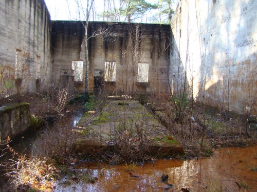 Abandoned building interior with crumbling walls, overgrown vegetation, and a muddy floor reflecting sunlight.