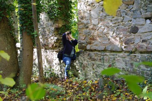 A person with a camera stands among trees and stone ruins, surrounded by autumn leaves.