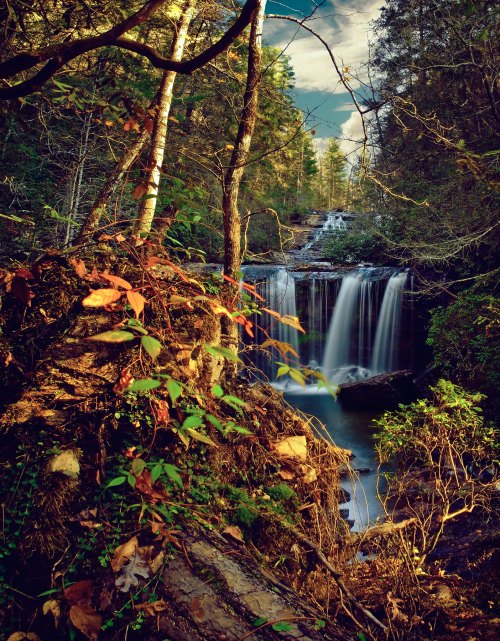 A serene waterfall cascades through a lush forest, surrounded by trees and vibrant foliage under a cloudy sky.