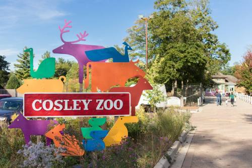 Colorful animal sculptures surround the sign for Cosley Zoo, with a pathway and trees in the background.