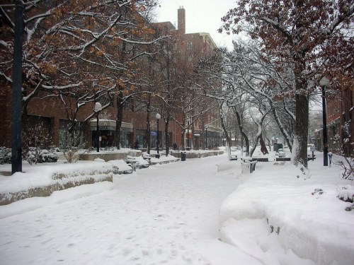 A snowy street lined with trees and benches, creating a serene winter scene in an urban area.