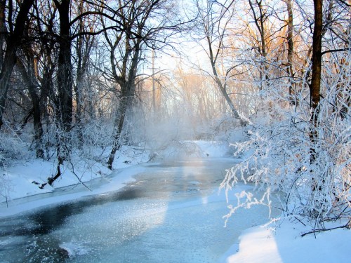 A serene winter scene with a frozen river surrounded by frosty trees and soft morning light.