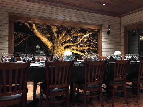 A beautifully set dining table with glasses and black napkins, overlooking a large tree through a window.