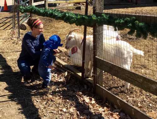 A child in a blue jacket interacts with a woman by a fence, while two goats approach them.