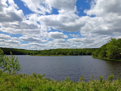 A serene lake surrounded by lush greenery and a cloudy blue sky, reflecting nature's tranquility.