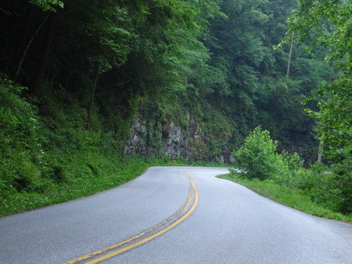 A winding road surrounded by lush green trees and rocky cliffs, creating a serene, natural landscape.