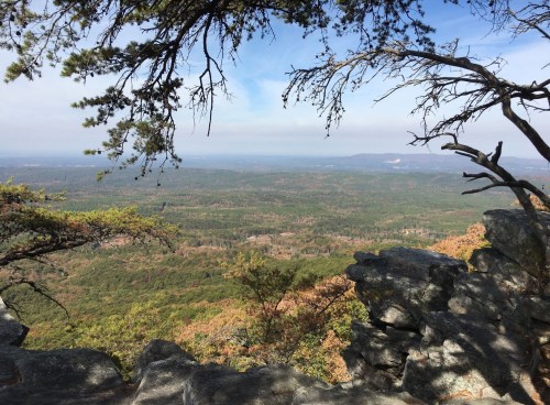A scenic view from a rocky outcrop, framed by trees, overlooking a vast green landscape and distant hills.