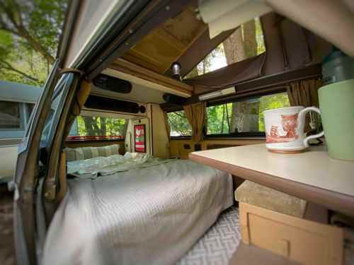 Cozy camper interior with a bed, table, and a mug, surrounded by trees and natural light.