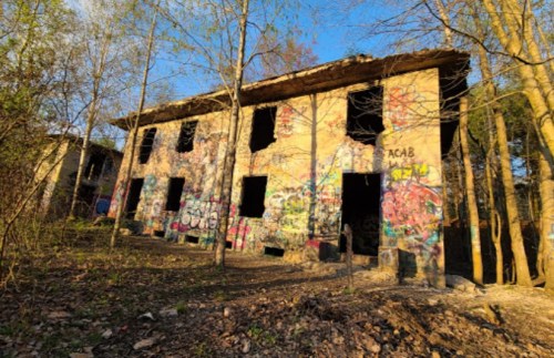 Abandoned building covered in colorful graffiti, surrounded by trees and overgrown vegetation in sunlight.