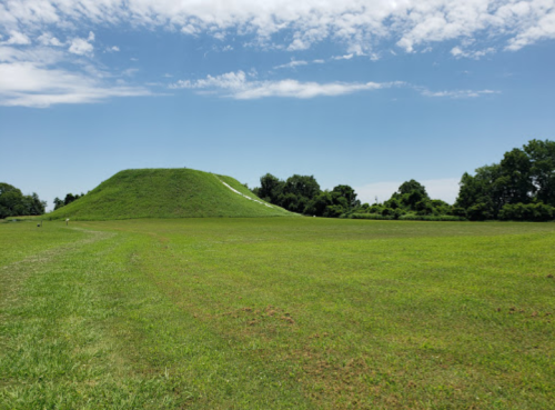 A grassy landscape featuring a large, grassy mound under a clear blue sky with scattered trees in the background.