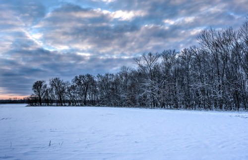 A snowy landscape with a field in the foreground and a tree line in the background under a cloudy sky.