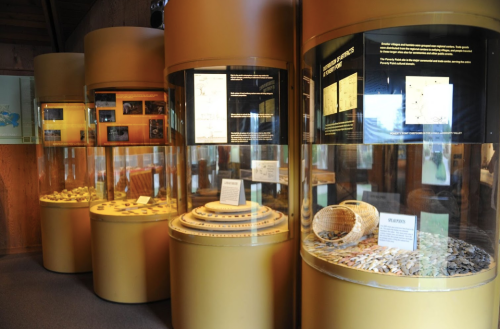 Display cases in a museum showcasing various artifacts and informational panels.