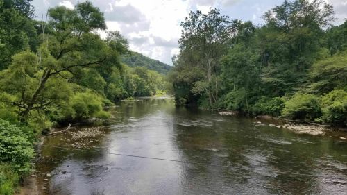 A serene river flows through lush greenery under a partly cloudy sky, surrounded by trees and hills.