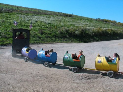A small train with colorful barrel-shaped cars carries children along a dirt path in a grassy area.