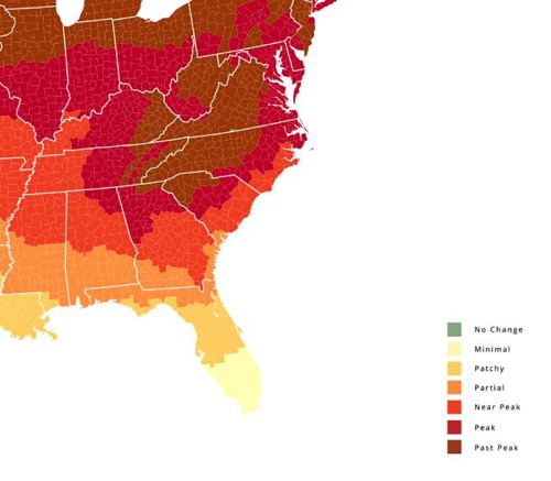 Map showing varying levels of foliage change across the eastern United States, from no change to peak peak.