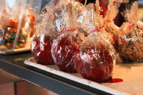 A tray of individually wrapped caramel apples, some with colorful sprinkles, ready for sale.