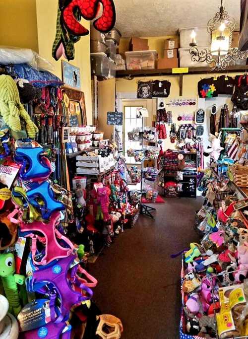 A colorful pet supply store aisle filled with toys, leashes, and accessories for various animals.