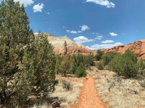 A sandy path winds through a desert landscape with shrubs, red rock formations, and a blue sky with clouds.
