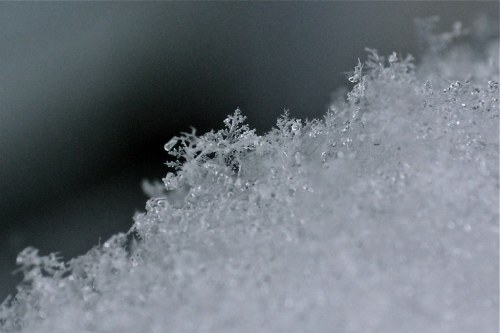 Close-up of delicate snowflakes resting on a soft, white surface, showcasing intricate ice crystal patterns.