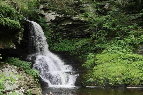 A serene waterfall cascading over rocky cliffs, surrounded by lush green foliage and a tranquil pool below.
