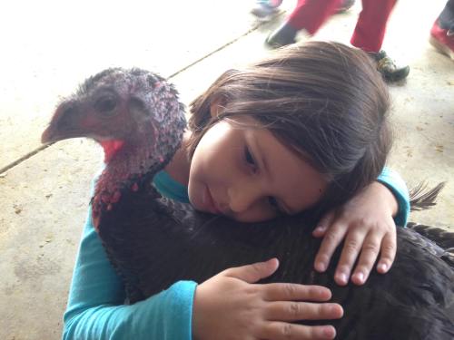 A child gently hugs a turkey, resting her head on its back in a warm, affectionate moment.