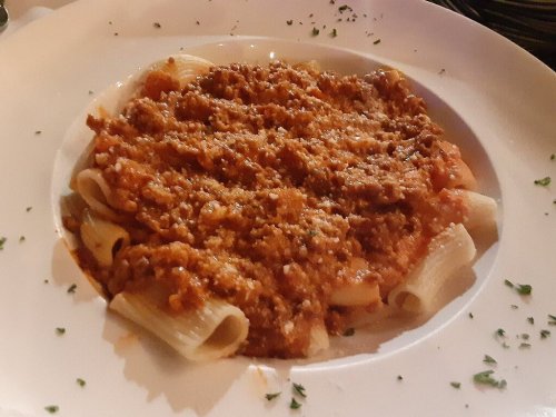 A plate of rigatoni pasta topped with a rich meat sauce and sprinkled with grated cheese, garnished with herbs.