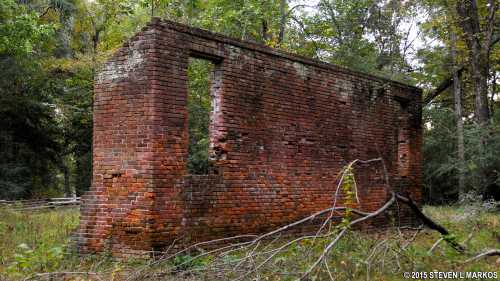 A weathered brick wall stands in a forest, surrounded by greenery and fallen branches.