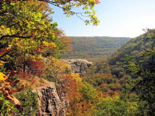 A scenic view of a valley surrounded by colorful autumn foliage and rocky cliffs under a clear blue sky.