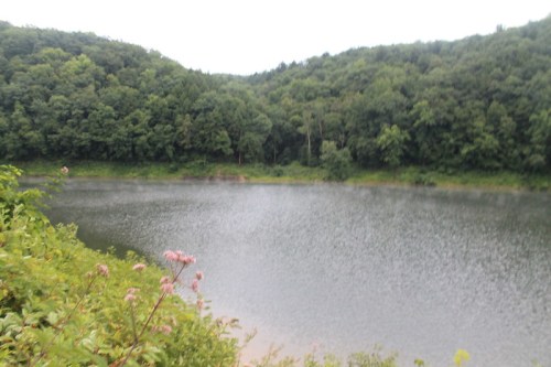 A serene lake surrounded by lush green trees and gentle hills, with pink flowers in the foreground.