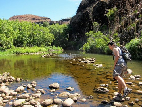 A person wades through a shallow stream, surrounded by lush greenery and rocky terrain under a clear blue sky.