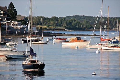A serene harbor scene with various boats moored in calm waters, surrounded by trees and distant shoreline.