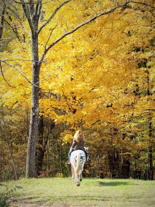 A person riding a horse through a vibrant autumn landscape with golden leaves on trees.