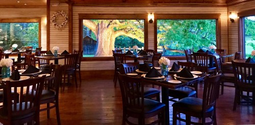 Cozy restaurant interior with wooden tables, chairs, and large windows showcasing a vibrant tree outside.
